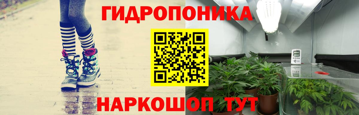 Бошки марихуана SATIVA & INDICA  Шишки марихуана конопля  МАРИХУАНА гибрид  Гуково  Вход с VPN 